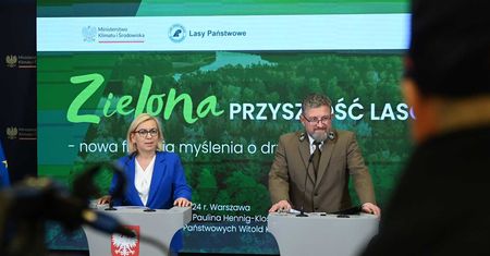 "Sprzątanie stajni Augiasza". Miotła w Lasach Państwowych