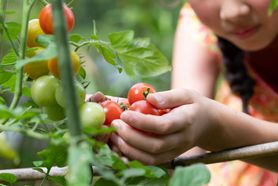 Bezpieczeństwo żywności – co warto wiedzieć?