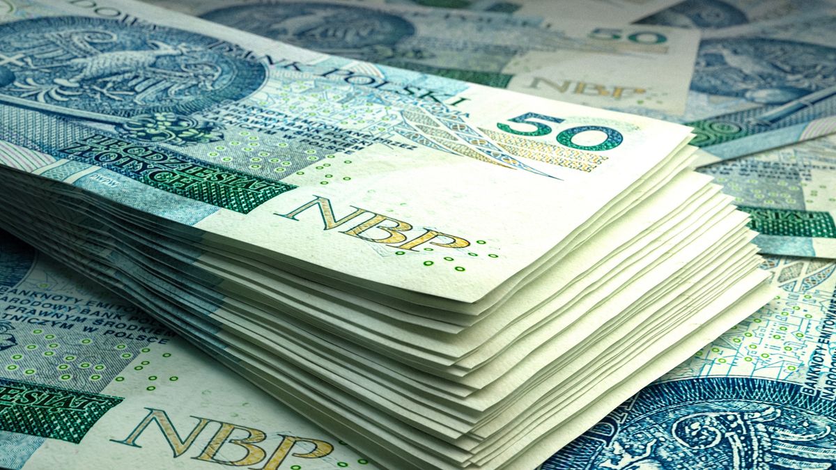 Gotówka pod kontrolą. Nowy limit obejmie całą Unię