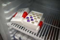 Szczepionka na COVID. Nowe ustalenia ws. kradzieży ampułek z Chorzowa