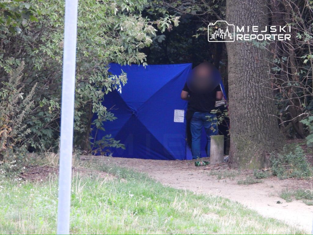 Mężczyzna w czarnej koszulce stoi przy niebieskim namiocie w lesie, otoczony roślinnością.
