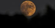 Pełnia Księżyca w sierpniu. Niebieski Księżyc podziwialiśmy niemal 3 lata temu