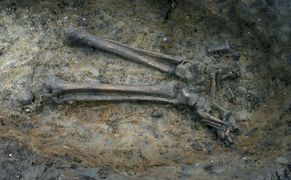 Fokus TV Anatomia ukrzyżowania