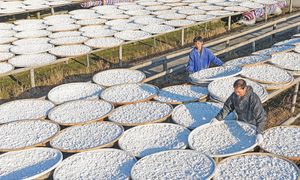 Ta branża najbardziej ucierpi na wojnie w Iranie. Jest raport