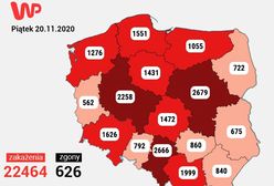 Koronawirus w Polsce. Liczby nie maleją. Najnowsze dane z Ministerstwa Zdrowia [20 listopada]