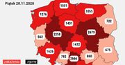 Koronawirus w Polsce. Liczby nie maleją. Najnowsze dane z Ministerstwa Zdrowia [20 listopada]
