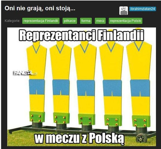 Fot. fangol.pl