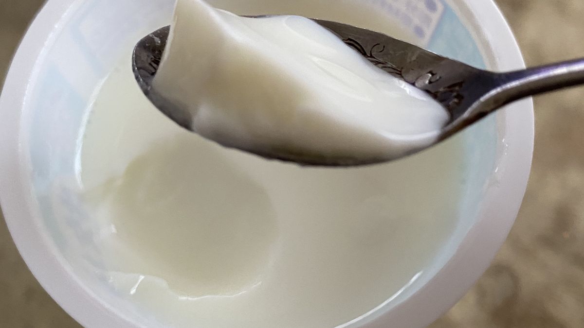 Jogurt naturalny zawiera cenne bakterie probiotyczne