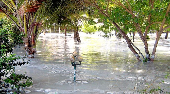 Tuż przed tragedią