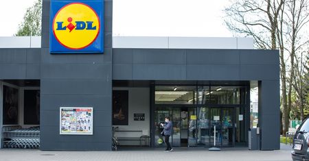 Do 50 proc. taniej w Lidlu. Ostatni dzień promocji. Borówki za 7,99 zł