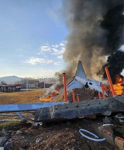 "To nie była jedyna przyczyna". Ekspert lotniczy wskazuje kluczowy element