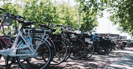 Organizują pchli targ, na którym każdy będzie mógł sprzedać lub kupić używany rower i nie tylko