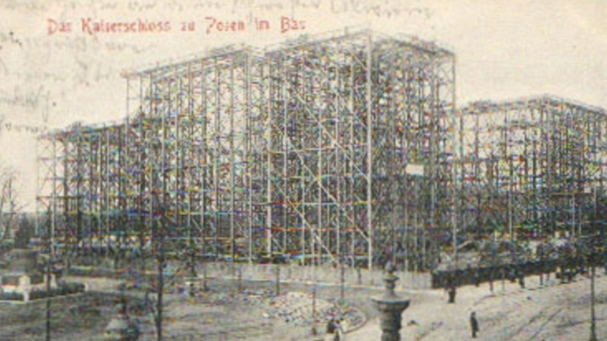 zdjęcie