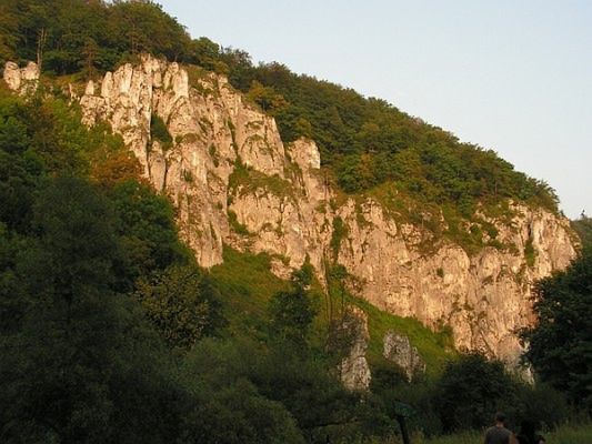 Obraz