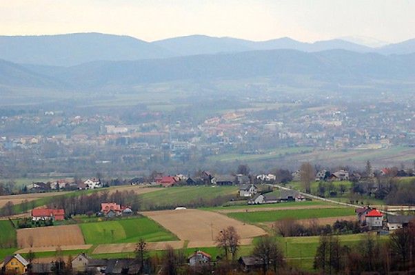 Obraz