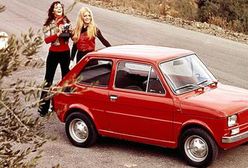 Muzeum szuka malucha