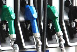 W wakacje za benzynę zapłacisz krocie