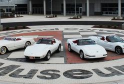 Amerykańskie dziedzictwo