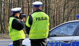 Mandaty jak w Skandynawii?