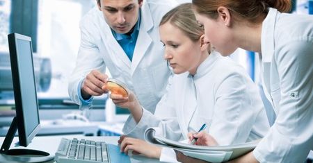 Za pieniądze zostanę królikiem doświadczalnym