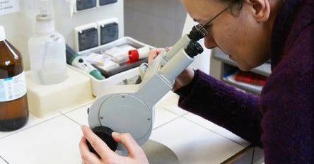 Już wiemy, które płyny są odporne na mróz