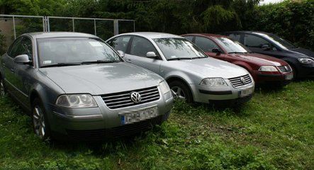 Policja rozbiła grupę złodziei Volkswagenów