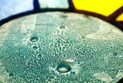 In vitro ma być refundowane