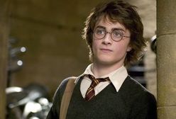 Harry Potter na Mistrzostwach świata w quidditchu