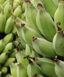 Banan - egzotyczny ziemniak