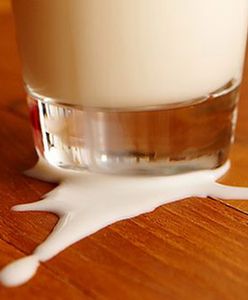 Ośle mleko nadzieją dla alergików