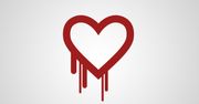 Rząd USA ostrzega przed "heartbleed"