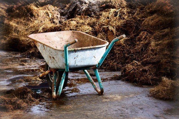 Przechowywanie nawozów naturalnych. Nowe terminy i ułatwienia dla rolników