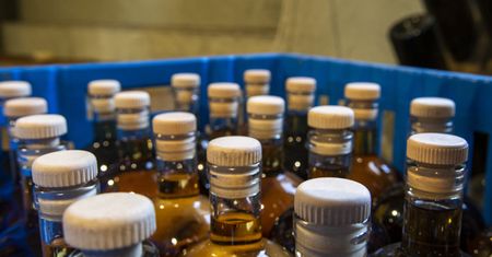 Wymiata cholesterol, trójglicerydy. Sprawia, że kilogramy same spadają