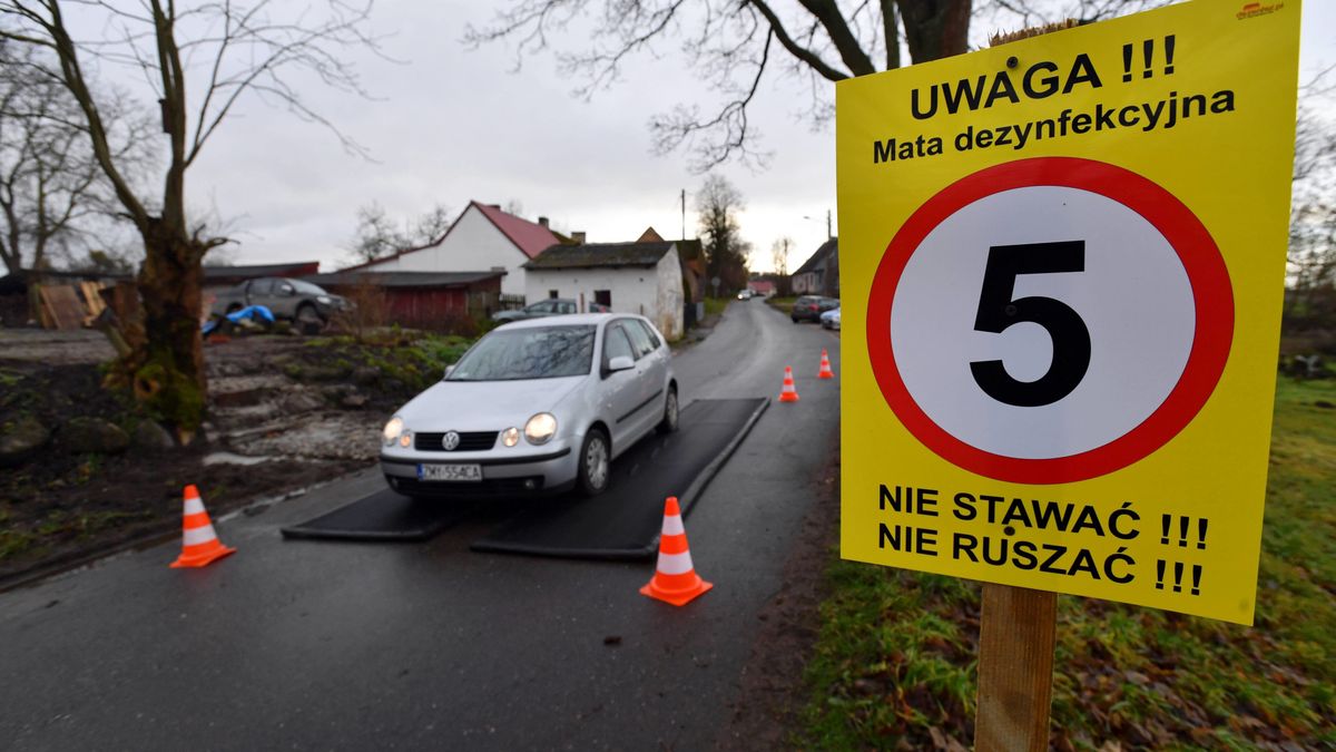 W okolicach dotkniętych epidemią ptasiej grypy rozstawiane są nawet maty dezynfekujące koła samochodów.