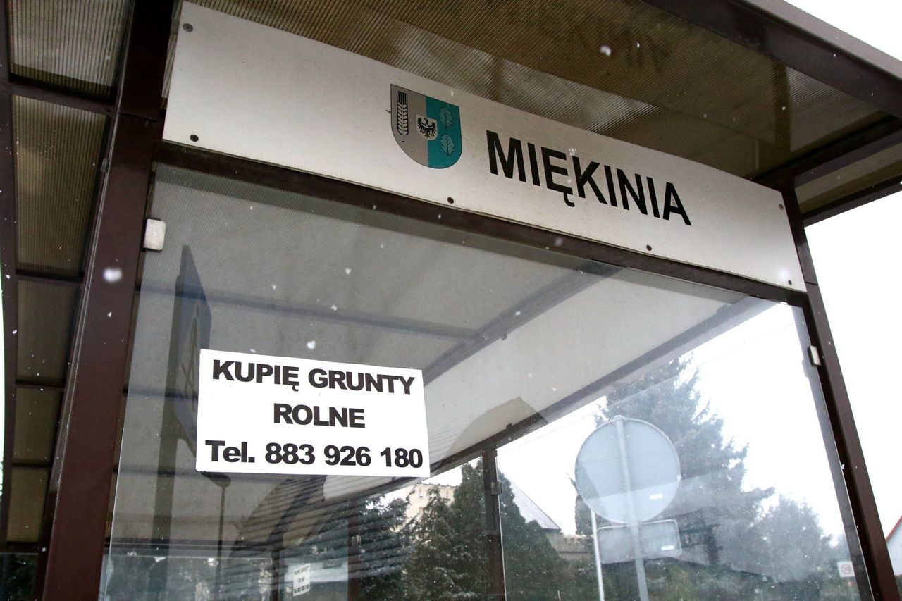 Miękinia: Co dalej z działką przygotowaną dla Intela? PAIH odpowiada