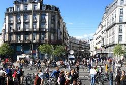 Belgia otwiera rynek pracy