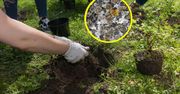 Szpeci taras, niszczy trawnik. Fenomenalny sposób na mech