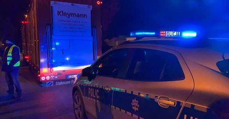 "Przerośnięte świnie" zatrzymane. Akcja pod zakładem mięsnym