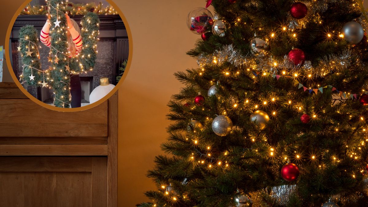 Alternatywa dla tradycujnej choinki.