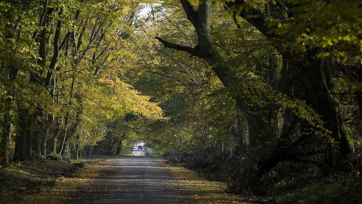 Leśnicy oprócz pielęgnacji lasów, wzięli się także za inwestycje drogowe