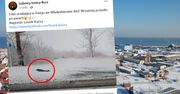 Foka na spacerze we Władysławowie. "Przeszła po pasach"