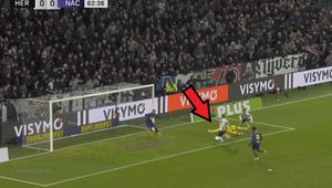 Spektakularna interwencja Polaka. Koledzy byli pod wrażeniem [WIDEO]