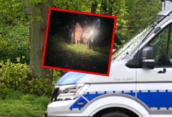 Poszukiwali 70-latki. To za ich sprawą znaleziono ją w głębi lasu