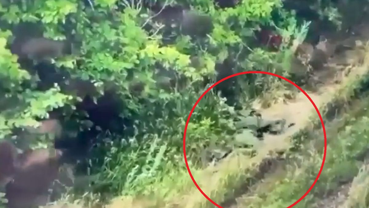 Rosyjski żołnierz czołgał się do martwego kolegi, a potem po prostu go okradł