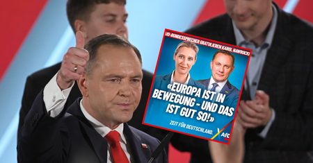 AfD gratuluje Nawrockiemu. "Europa jest w ruchu i to dobrze"