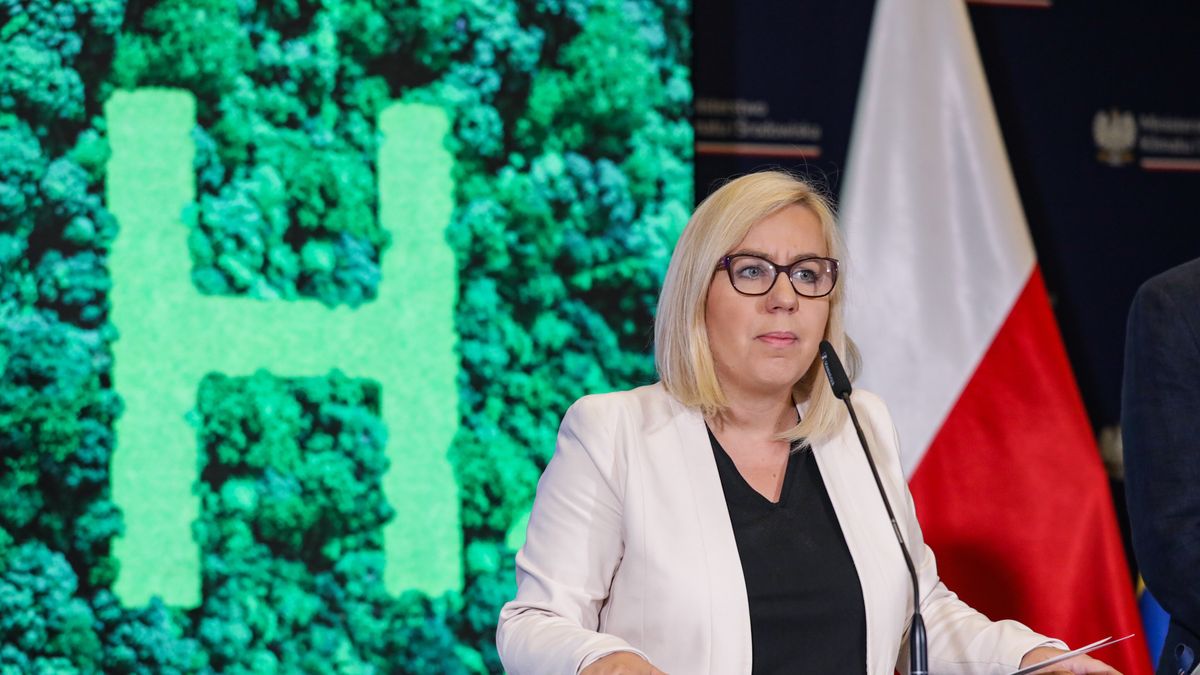 Warszawa, 04.07.2024. Minister klimatu i środowiska Paulina Hennig-Kloska podczas konferencji prasowej w siedzibie ministerstwa w Warszawie, 4 bm. Tematem konferencji było prawo wodorowe. (sko) PAP/Tomasz Gzell