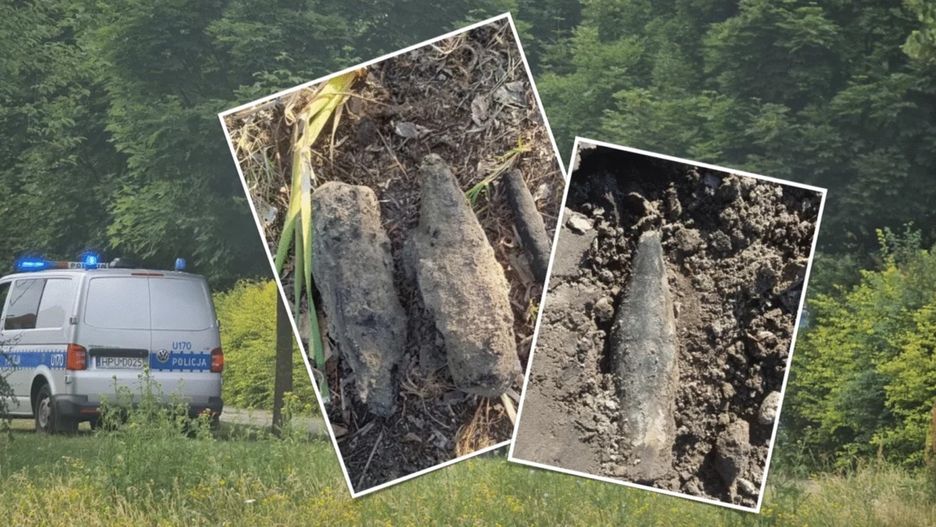 fot. za: Codzienny Poznań