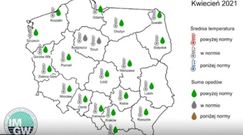 Pogoda na weekend. Kiedy w Polsce będzie wiosna? Synoptyk IMGW zabrał głos