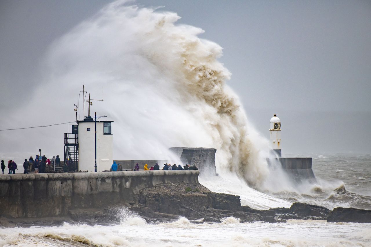 (Getty Images, Fot: Matthew Horwood)