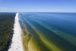 Rekordowo ciepłe Morze Bałtyckie w lipcu. Co jest przyczyną? Ekspert tłumaczy